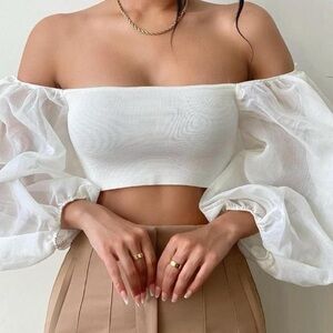 NWOT Zara Off White, Neutral, Puff Sleeve, Organza Sleeve, Crop Top size S